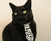 《电竞职业路径多元化:从选手到教练、解说、管理》,电竞职业选手出路